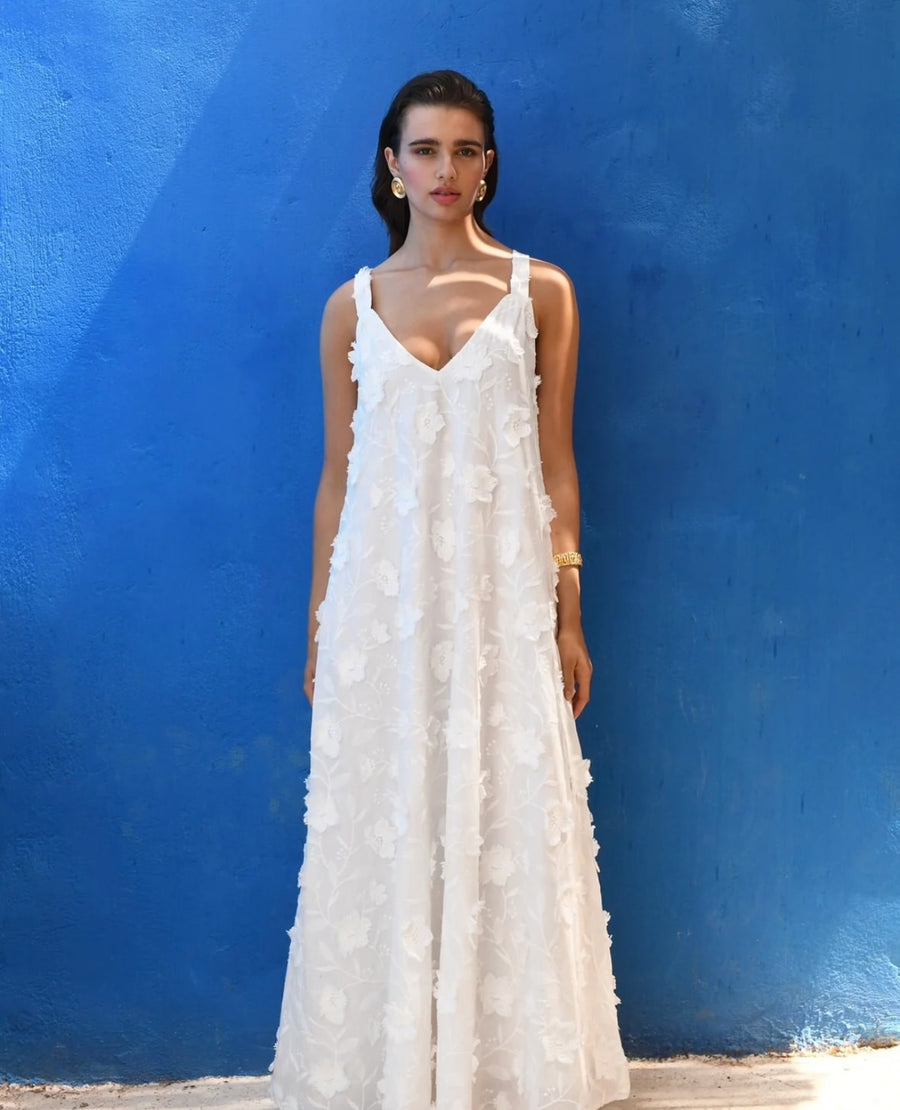 Alkmini Maxi Dress