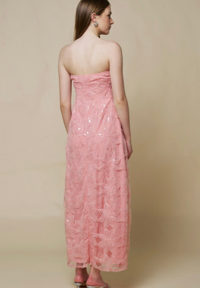 Sequin Tube Maxi Dress