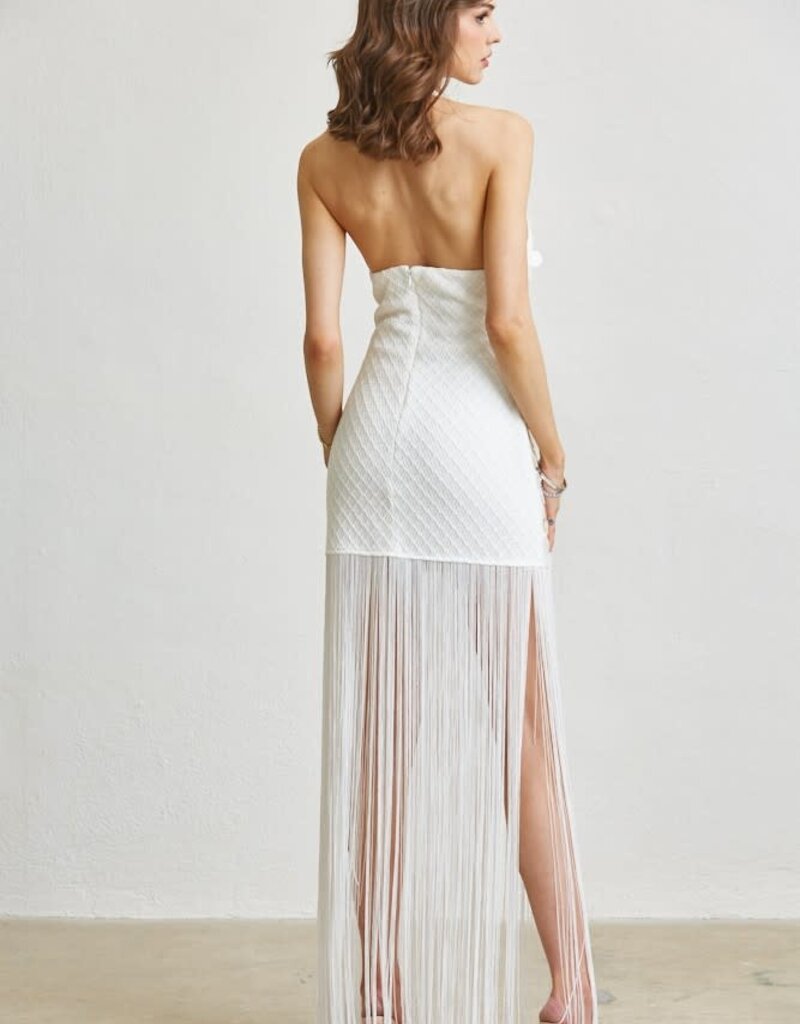 Sequin Fringe Dress