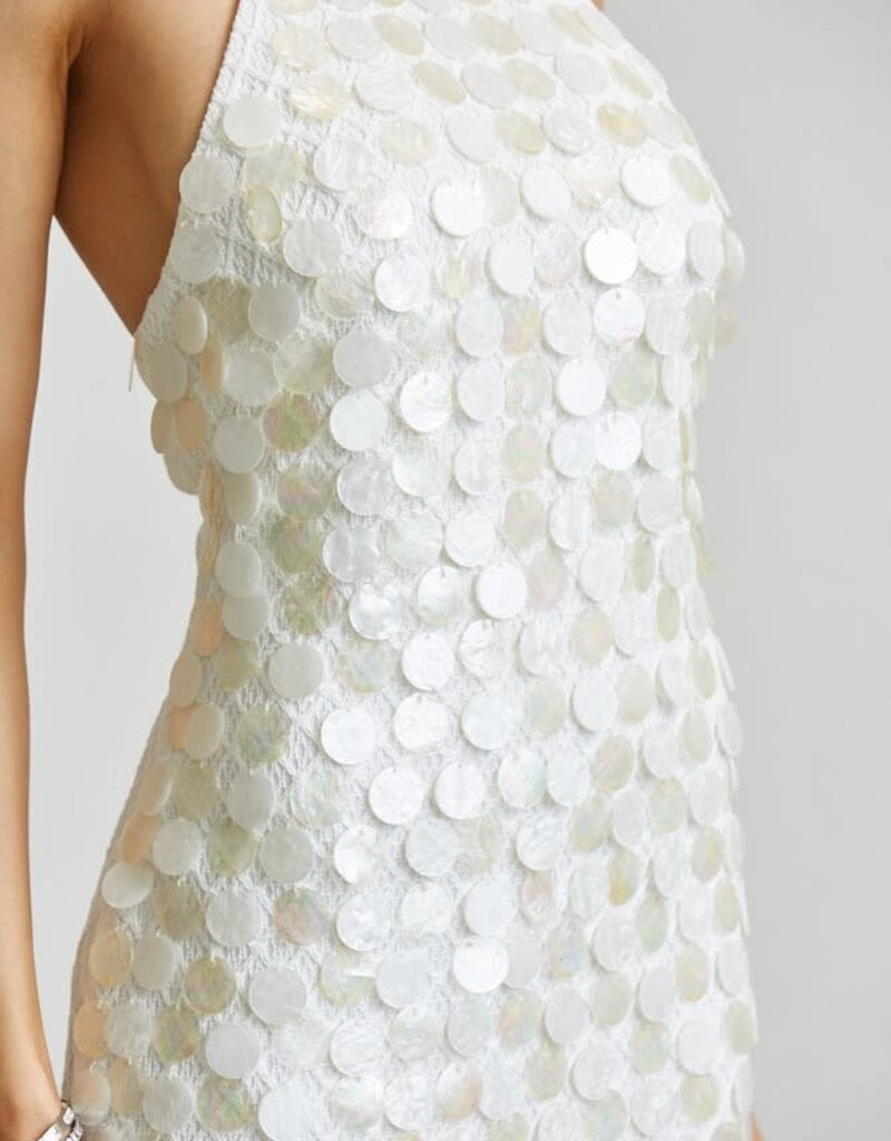 Sequin Fringe Dress