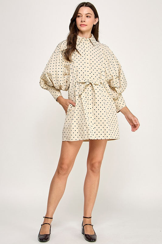 Polka Dot Mini Dress