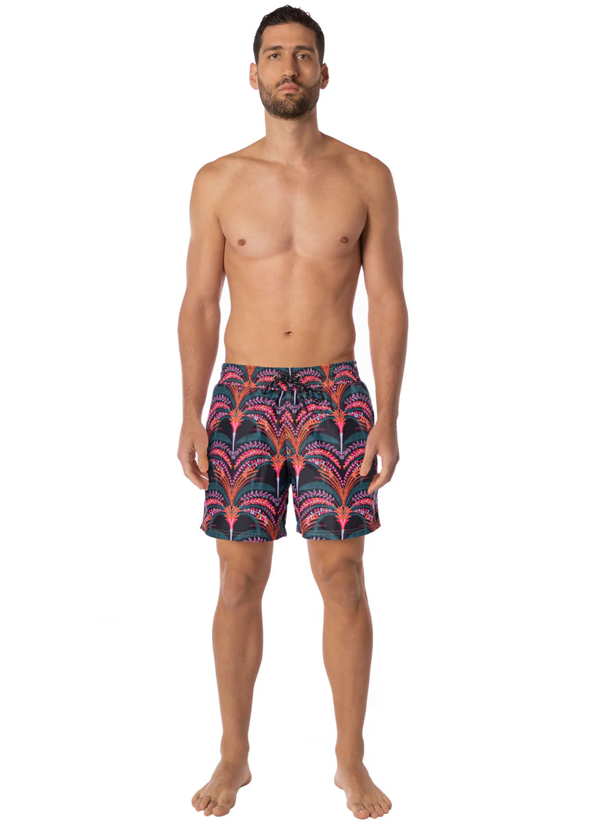 Palm Grove Sailor Men Tunks