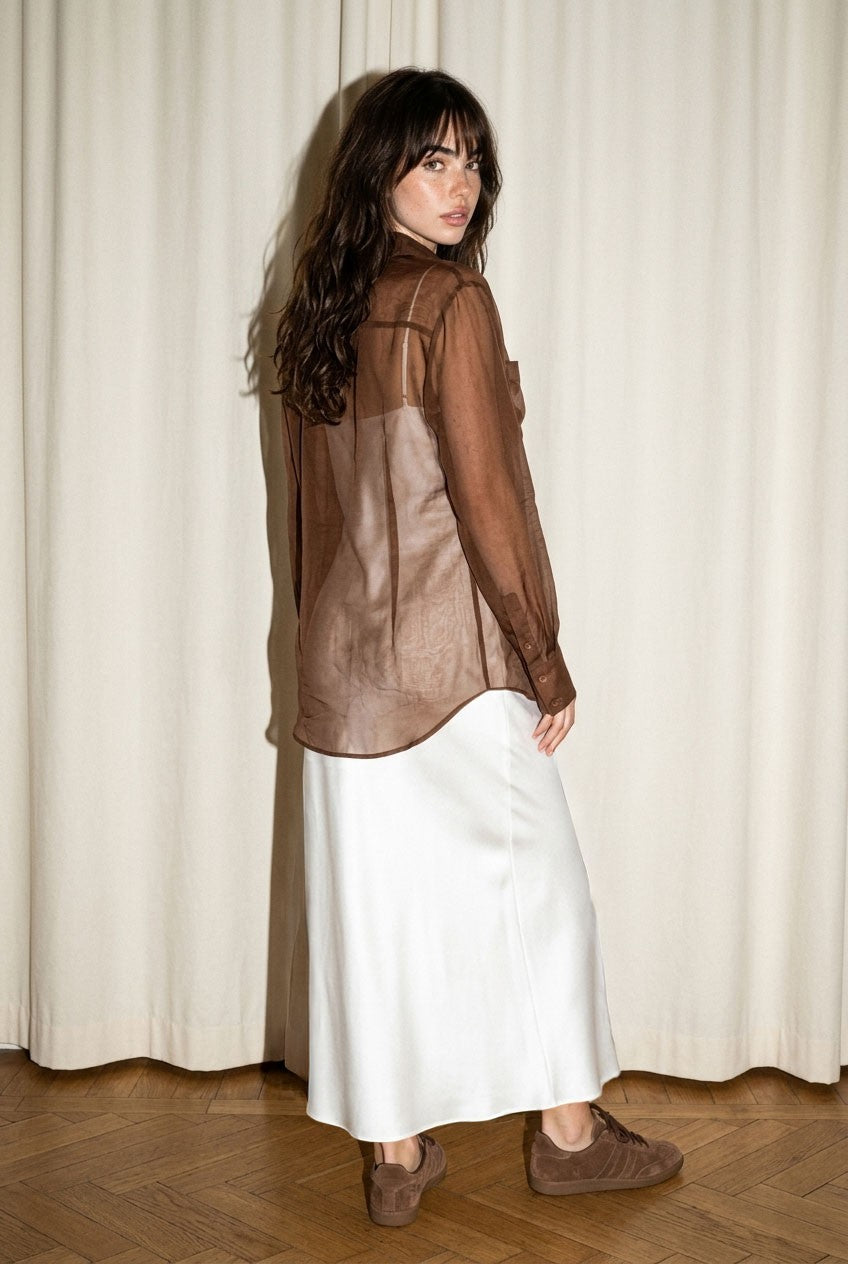 Brown Sheer Top
